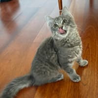 Photo of Londyn 😻💕💕😻