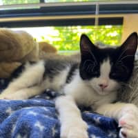 Photo of Xena And Smudge