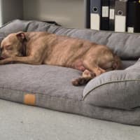 Photo of Meggie 💜