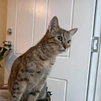 Photo of Lealo