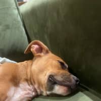 Photo of Maisy