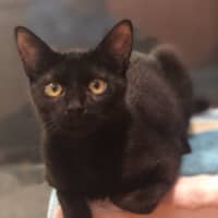 Photo of Wednesday