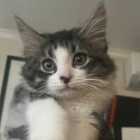 Photo of Bohdi & Lottie