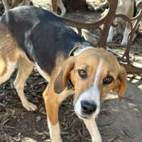 Photo of Phillip J Fry