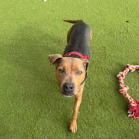 Photo of Inca