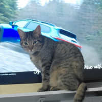 Photo of Gabby