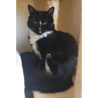 Photo of 10654   Ford