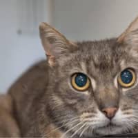 Photo of Jeffrey
