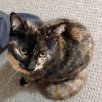 Photo of Rosie