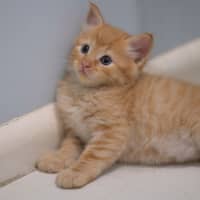 Photo of 😺 Garfield 😺