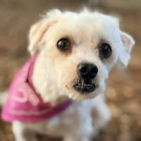 Photo of Murphy