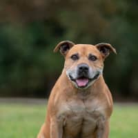 Photo of Bruce