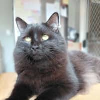 Photo of Deetz 