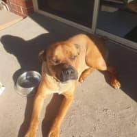 Photo of Skye Peggotty