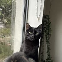 Photo of Milo   Malvern 