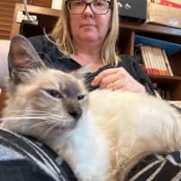 Photo of Sid And Nancy