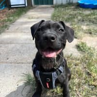 Photo of Bruce