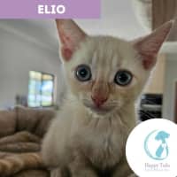 Photo of Elio