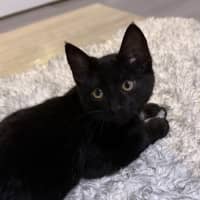 Photo of Banksy 🎨