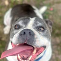 Photo of Bruce