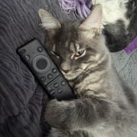 Photo of Lewis Paw Milton