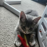 Photo of Marty