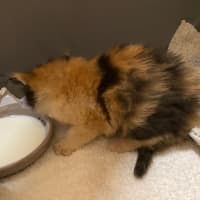 Photo of Hadley Parker