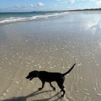 Photo of Rudi