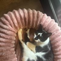Photo of Lotti