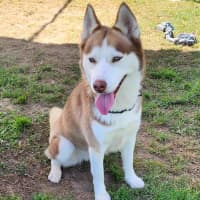 Photo of Hazel