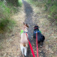 Photo of Nala Jablonksi