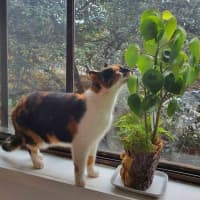 Photo of Queen Mimmi