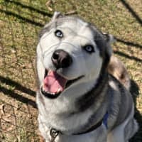 Photo of Freya