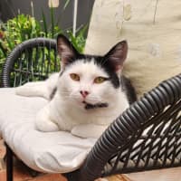 Photo of Bali & Roux