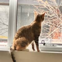 Photo of Nixie