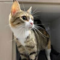 Photo of Hazel