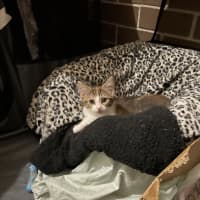 Photo of Lucyloo