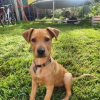 Photo of Kirra