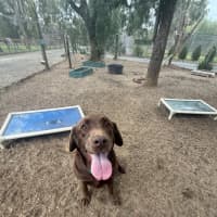 Photo of Dora