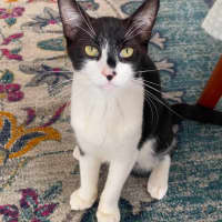 Photo of Betty