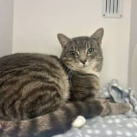 Photo of Tuna