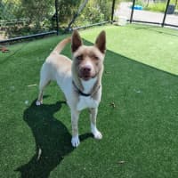 Photo of Arwen Imp 2188