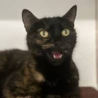 Photo of Missy