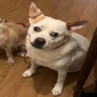 Photo of Walter And Abby