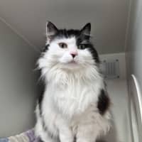 Photo of Sally
