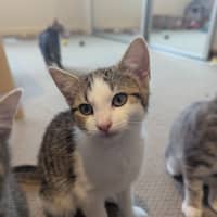 Photo of Sofia Scotty