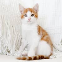 Photo of Timmy