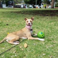 Photo of Ellie Valenti