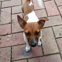 Photo of Maggie