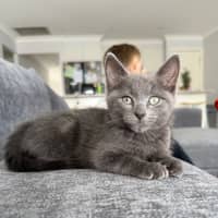 Photo of Harley & Harper